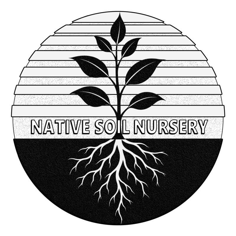 Native Soil Nursery rooted plant logo